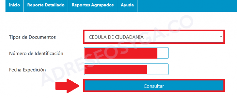 RUAF Consulta Tu Afiliación A Pensión, Cesantías Y ARL